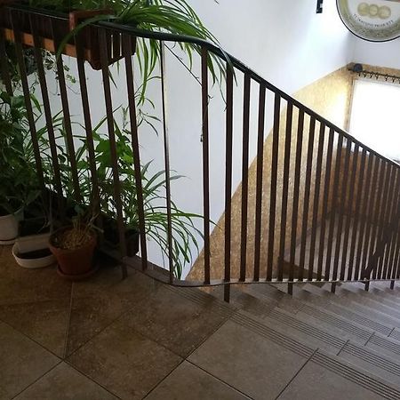 Dom Sportowca Roko Appartement Gdańsk Buitenkant foto